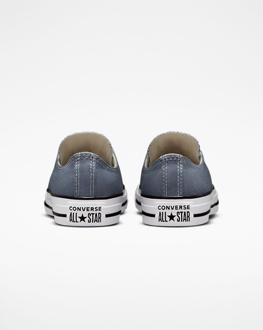 Women's Converse Chuck Taylor All Star Seasonal Color Low Top Shoes Grey | AU 09E16N